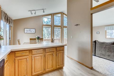 435 Dawson Rd, Pine, CO 80470 photo 11
