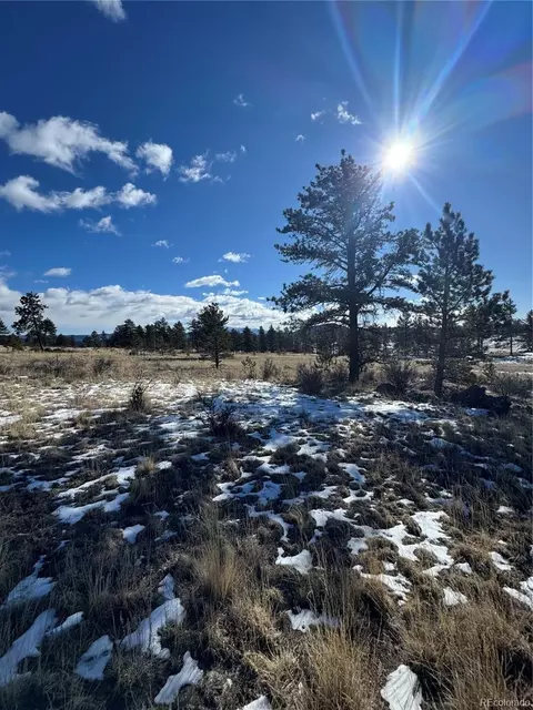 861 State Highway 24 # A, Lake George, CO 80827