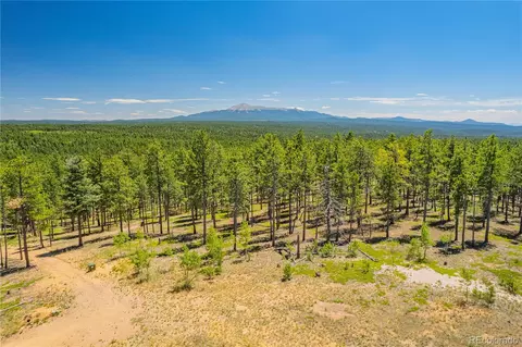 lot1 County Road 51, Florissant, CO 80816