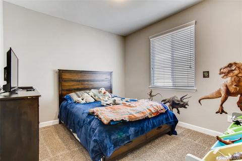 6532 Empire Ave, Frederick, CO 80516 photo 16