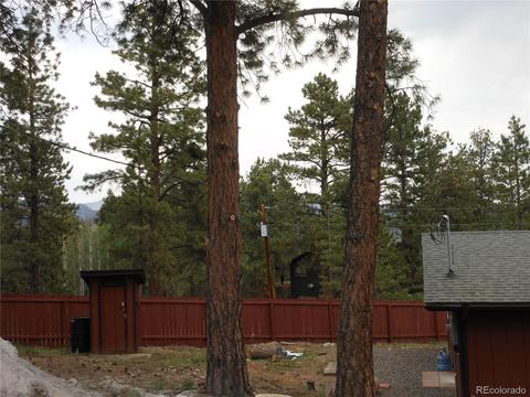 218 Doe Cir, Bailey, CO 80421 photo 5