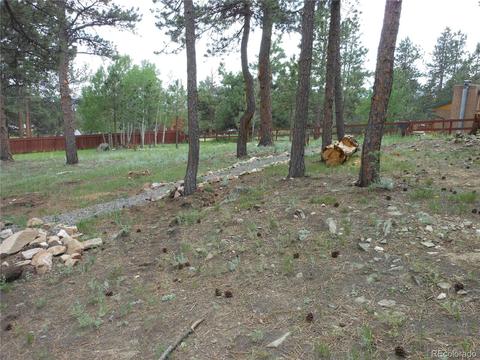 218 Doe Cir, Bailey, CO 80421 photo 7