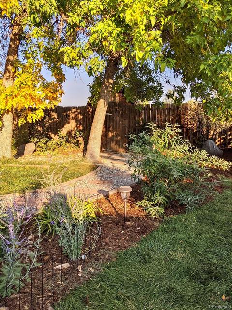 5334 Eldridge St, Arvada, CO 80002 photo 36