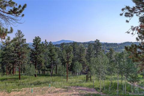 136 Gail Ln, Bailey, CO 80421 photo 36