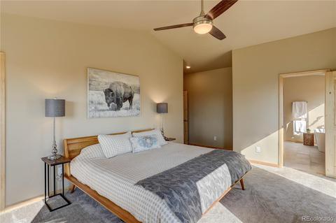 136 Gail Ln, Bailey, CO 80421 photo 25
