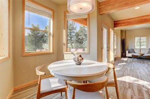 136 Gail Ln, Bailey, CO 80421 photo 12