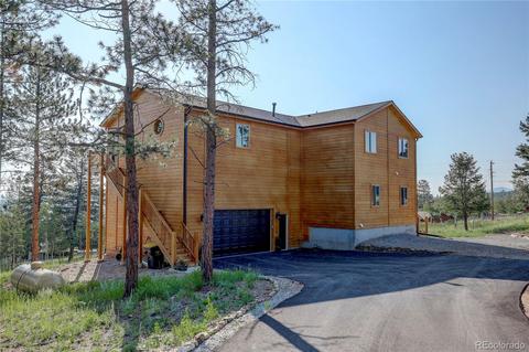 136 Gail Ln, Bailey, CO 80421 photo 3