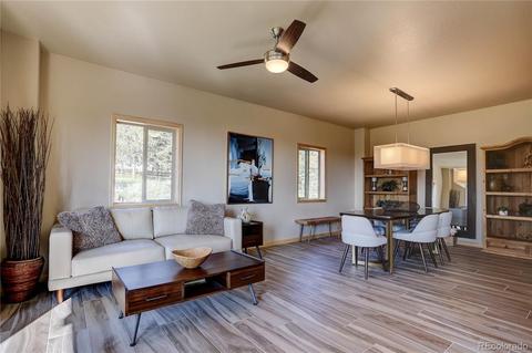 136 Gail Ln, Bailey, CO 80421 photo 6
