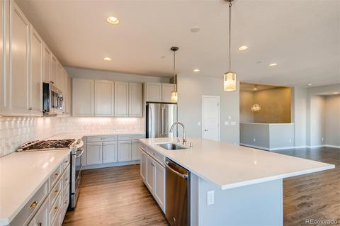 13955 Box Turtle Loop, Parker, CO 80134 photo 14