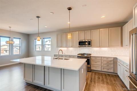 13955 Box Turtle Loop, Parker, CO 80134 photo 12