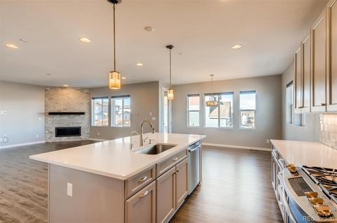 13955 Box Turtle Loop, Parker, CO 80134 photo 15