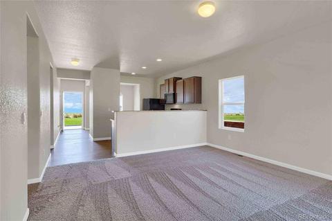 47316 Clover Ave, Bennett, CO 80102 photo 7