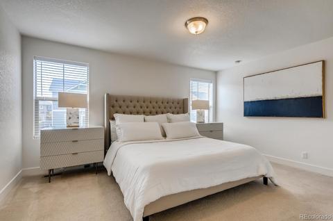 18210 E 52nd Pl, Denver, CO 80249 photo 18