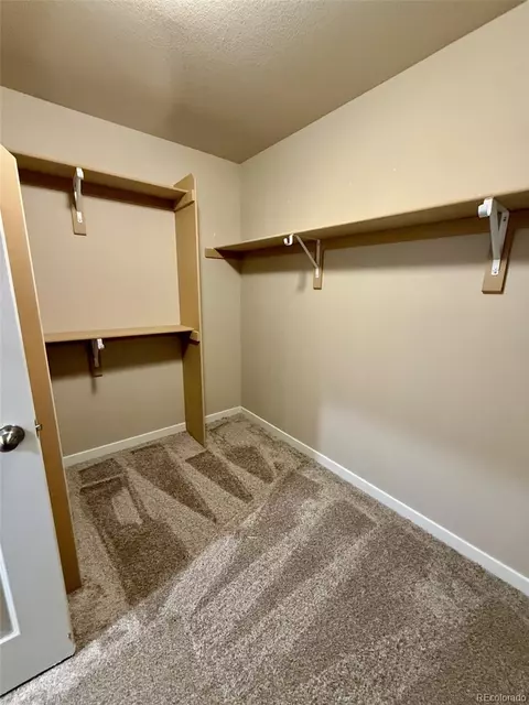 28329 E 7th Pl, Watkins, CO 80137 photo 13