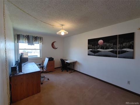 4644 S Union St, Morrison, CO 80465 photo 22