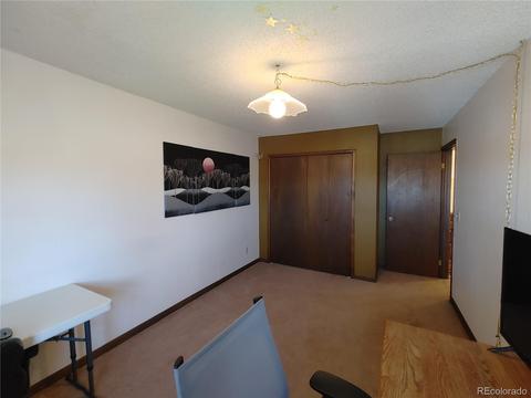 4644 S Union St, Morrison, CO 80465 photo 23