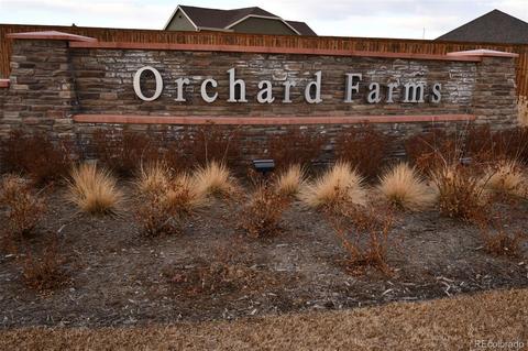2382 E 161st Ct, Thornton, CO 80602 photo 35