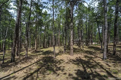 17960 Smugglers Rd, Monument, CO 80132