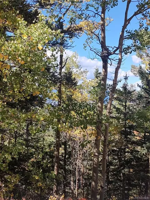 lot5374 Fort, Garland, CO 81133