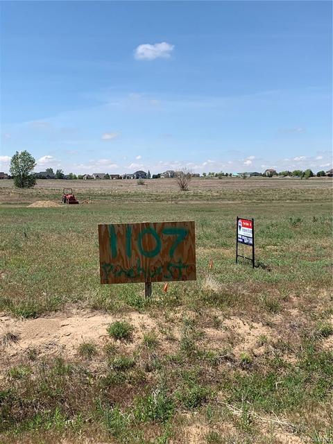 1107 Pinhurst Ct, Bennett, CO 80102 photo 3