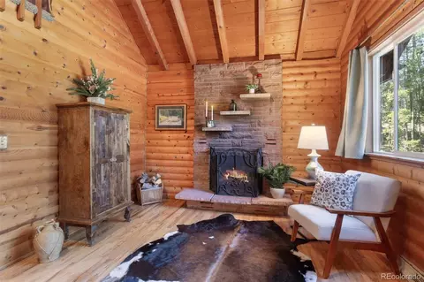 9061 Rex Ln, Conifer, CO 80433