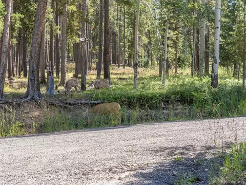 Other - 9061 Rex Ln, Conifer, CO 80433 photo 15 of 16
