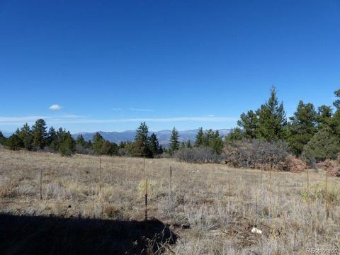 497 Ridgeway Rd, Cotopaxi, CO 81223 photo 4