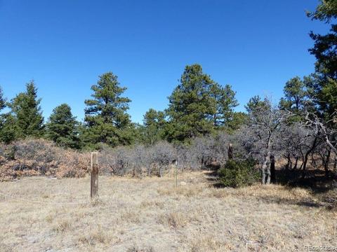 497 Ridgeway Rd, Cotopaxi, CO 81223 photo 13