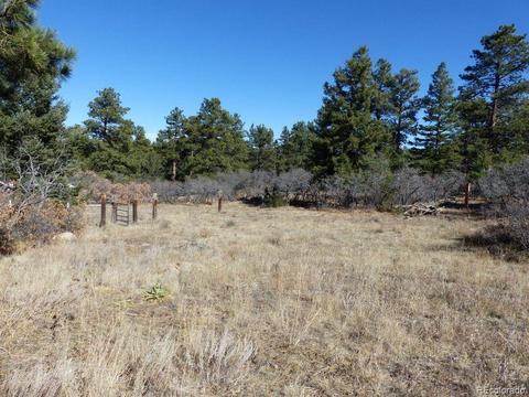 497 Ridgeway Rd, Cotopaxi, CO 81223 photo 11