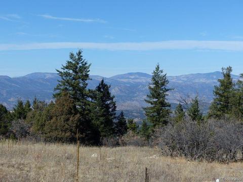 497 Ridgeway Rd, Cotopaxi, CO 81223 photo 2