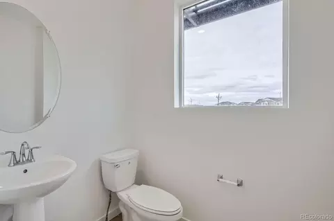 5537 Euclid Ct, Timnath, CO 80547 photo 5