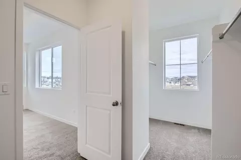 5537 Euclid Ct, Timnath, CO 80547 photo 8