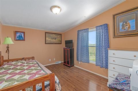 45555 E Mexico Ave, Bennett, CO 80102 photo 17