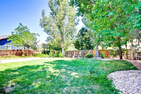 6484 Moss Cir, Arvada, CO 80007 photo 18