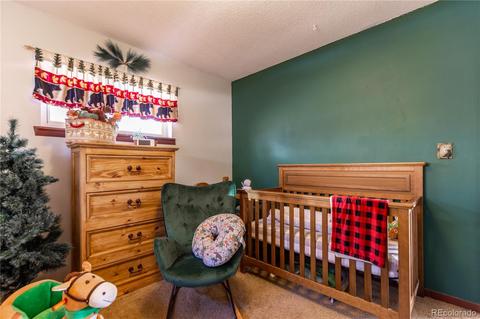 214 Juniper Ln, Bailey, CO 80421 photo 13