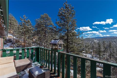214 Juniper Ln, Bailey, CO 80421 photo 21