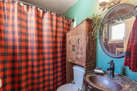 214 Juniper Ln, Bailey, CO 80421 photo 11