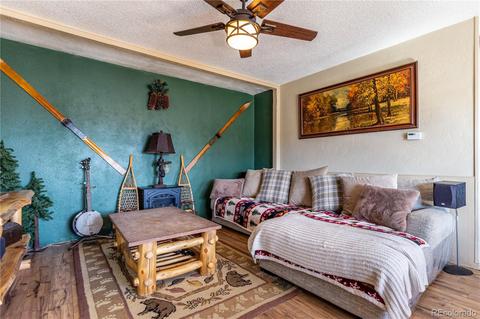214 Juniper Ln, Bailey, CO 80421 photo 3