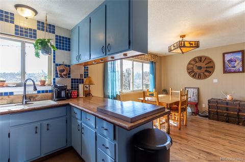 214 Juniper Ln, Bailey, CO 80421 photo 6