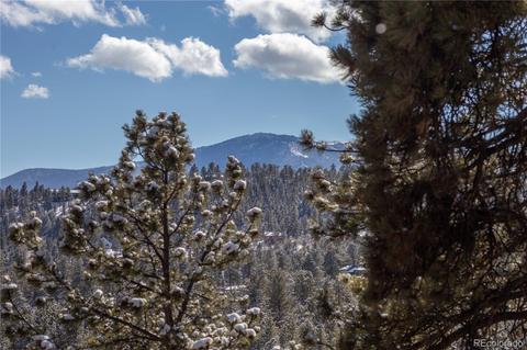 214 Juniper Ln, Bailey, CO 80421 photo 20