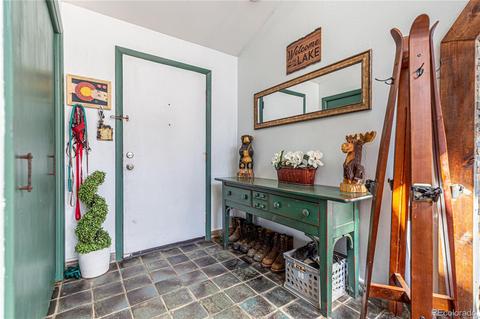 214 Juniper Ln, Bailey, CO 80421 photo 5