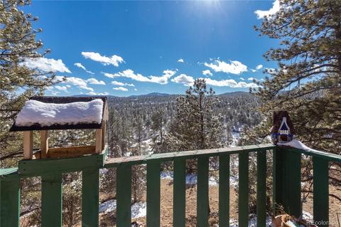 214 Juniper Ln, Bailey, CO 80421 photo 22