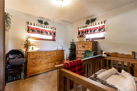 214 Juniper Ln, Bailey, CO 80421 photo 12