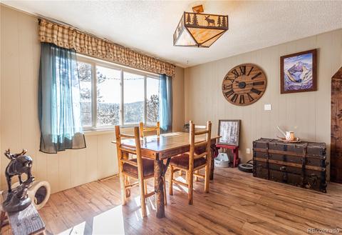 214 Juniper Ln, Bailey, CO 80421 photo 8