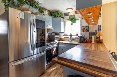 214 Juniper Ln, Bailey, CO 80421 photo 7