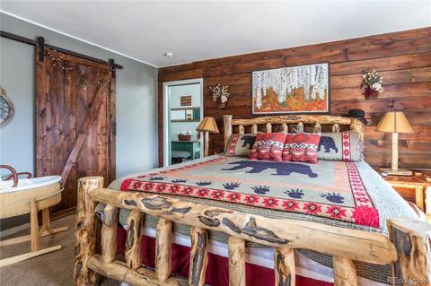 214 Juniper Ln, Bailey, CO 80421 photo 10