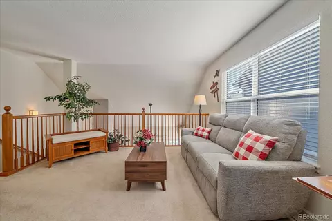 8334 Deframe Ct, Arvada, CO 80005 photo 24