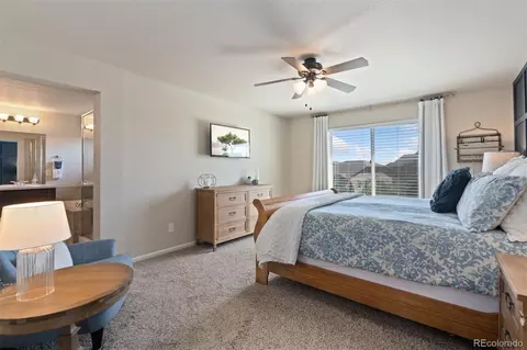 6503 Snow Bank Dr, Timnath, CO 80547 photo 29