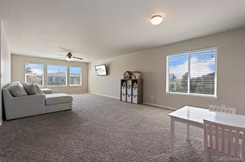 6503 Snow Bank Dr, Timnath, CO 80547 photo 26