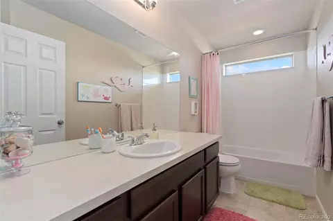 6503 Snow Bank Dr, Timnath, CO 80547 photo 36